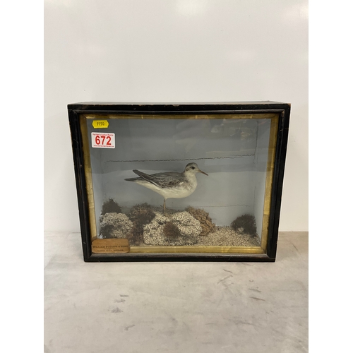 Lot 672       
