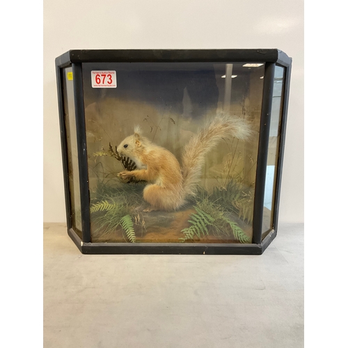 Lot 673       