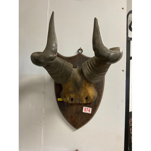 Lot 674       