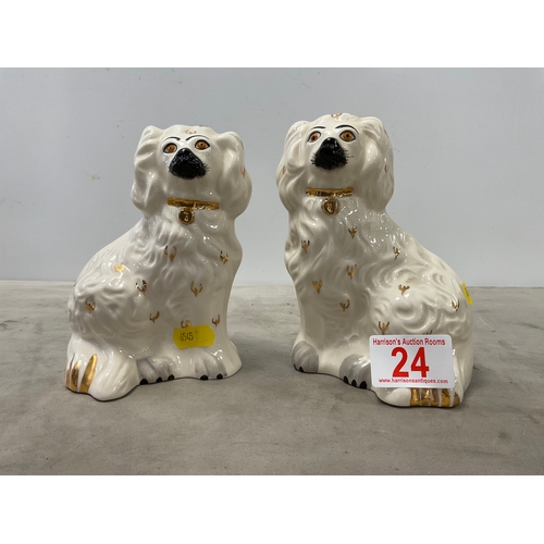 Lot 24        
