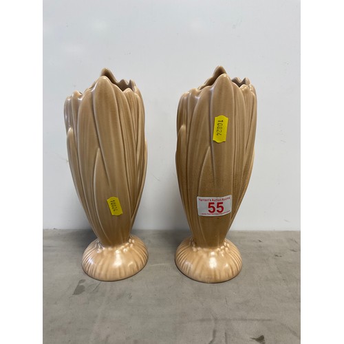Lot 55        