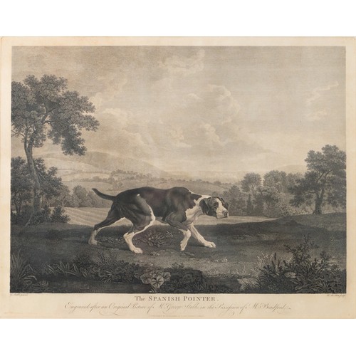 208 - William Woollett (1735-1785), After George Stubbs (1724-1804), 'THE SPANISH POINTER', Engraved 'Afte... 