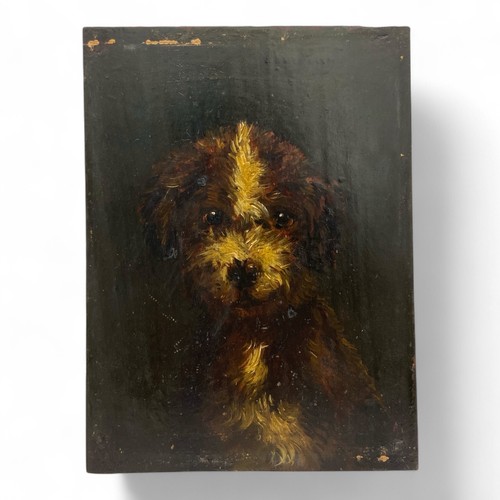 186 - A charming mid-19thC oil on board of a terrier dog puppy, on a dark green background, signed 'chardi... 