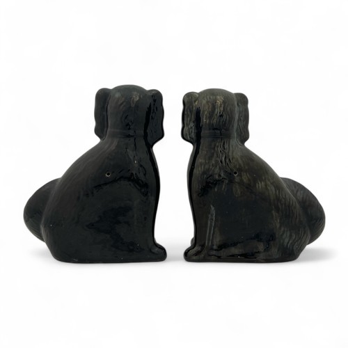 22 - A pair of late 19thC Staffordshire large spaniels, finished in black, with remains of gilt decoratio... 