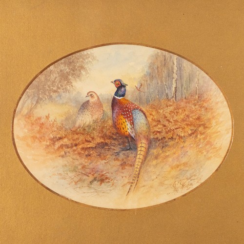 188 - James Stinton (1870-1961), an oval watercolour of a pheasant and hen amidst brown ferns in a clearin... 