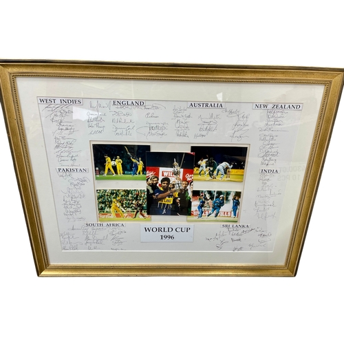 Lot 41        