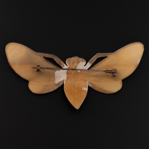 136 - A French Art Nouveau carved horn brooch, modelled as a moth with scalloped cut and polished wings in... 