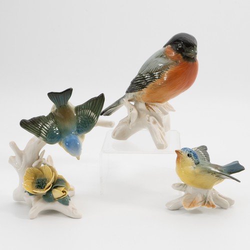 Lot 27        