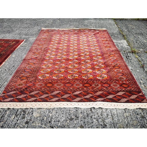 366 - Fine Afghan Beliquk Floor Rug, deep rich red ground, with a detailed traditional design and dark blu... 