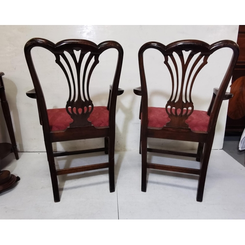 18 - Set of 6 Chippendale Style Mahogany Carvers, padded seats covered with red fabric, chamfered square ... 