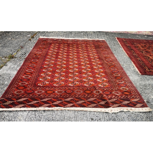 366 - Fine Afghan Beliquk Floor Rug, deep rich red ground, with a detailed traditional design and dark blu... 