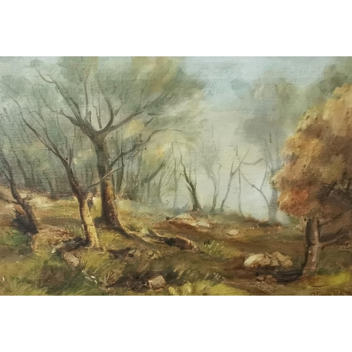 518 - OLIVER HALL R.A. 1869  1957, Oil on Canvas, Trees at the Old Head(brass label), Autumnal Forest S... 