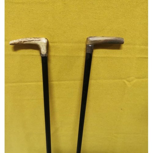 555 - 2 antique Walking Sticks with horn handled tops, one with a silver mount