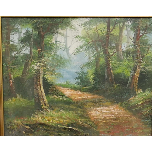 153 - Oil on Canvas, Pathway through Woodland, signed Costelo, 39cm x 49cm, in a gold frame (80cm x 90cm... 