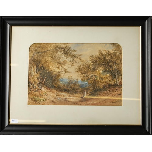 162 - 19thC School, Watercolour, Walking with Dog in the Countryside, 36cmH x 53cmW, large cream mount, eb... 