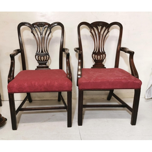 20 - Set of 6 Chippendale Style Mahogany Carvers, padded seats covered with red fabric, chamfered square ... 