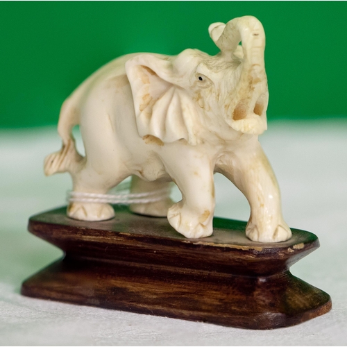 218 - Chinese ivorine small figure of an Elephant with extended trunk, on a wooden base, 8cmW x 4cmH