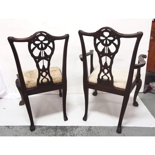 4 - Two early 20thC Dining Chairs on hairy paw feet  1 a Carver  pink padded seats, the backs carved w... 