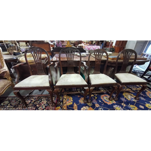 20 - Set of 4 Mahogany framed Hepplewhite style Dining Chairs (2 & 2 carvers), with good cream damask cov... 