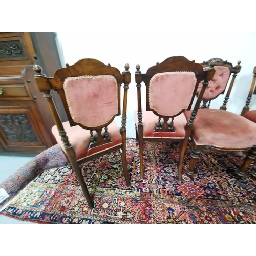 29 - Set of 4 Victorian Rosewood framed Dining Chairs, mauve padded backs and seats, on turned front legs... 