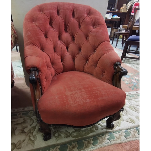 3 - Victorian Cab Leg Armchair, worn red button back, in a good rosewood frame