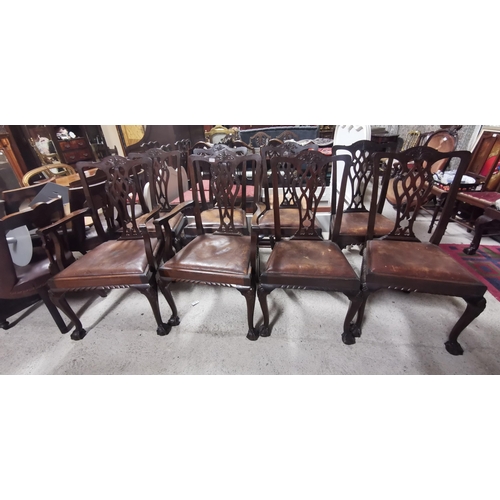 38 - Set of 8 Chippendale style Dining Chairs, on ball and claw feet, incl. Pair of Carvers (removable pa... 