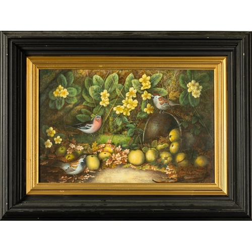 533 - ANTAOINE MacGIOLLA, Garden Birds in an Apple Orchard, among a bed of Primroses , oil on board, in ... 