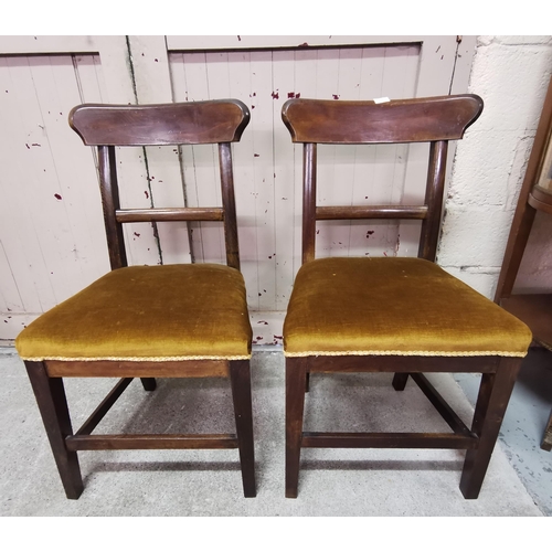 592 - Matching Pair of Mahogany Dining Chairs, dark gold velour seats, on turned front legs