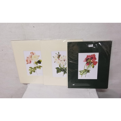 574 - 7 x modern floral prints (unframed), (5 in cream mounts, 2 in green mounts), all 46.5cm x 38.5cm