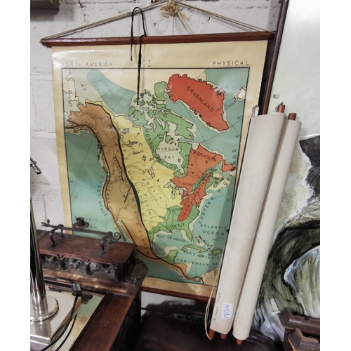 213 - 3 x Gill & Sons London, School Wall Maps with pitch pine headers - North American Climate, Economy &... 