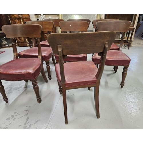 43 - Set of 8 late 19thC Mahogany Dining Chairs with bar backs, and corinthian designs (modified), on tur... 