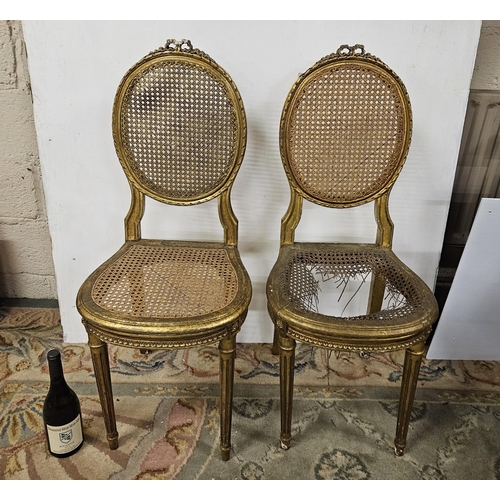 34 - Pair of French Gilt Salon Chairs, with ribbon shaped finials over bergère seats and backs (worn cond... 