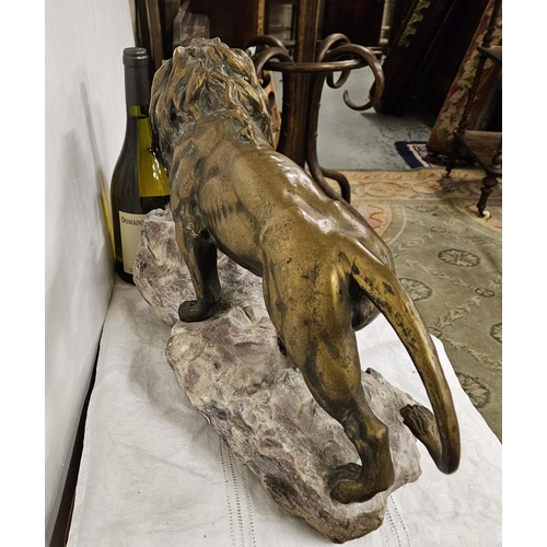 137 - French Bronze Model of an African Lion, on a naturalistic hued stone base, 52cmW x 35cmH