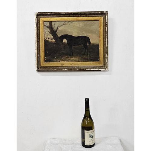 447 - 19thC Oil on Canvas  study of a resting black Horse, signed indistinctly, (gilt framed damaged) 43 ... 