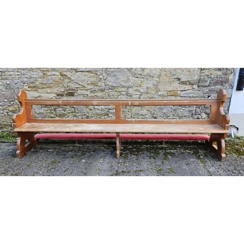 302 - Long Pitch Pine Church Pew (with a fold-up kneeler to the back), 10ft long