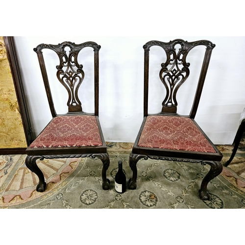 42 - Set of 8 Chippendale style Dining Chairs, on ball and claw feet, incl. Pair of Carvers (removable pa... 