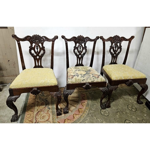 10 - Set of 3 heavy mahogany Chippendale design Dining Chairs, on ball and claw feet, removable padded se... 