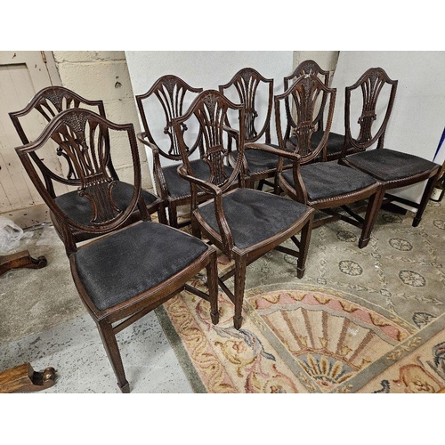 16 - Set of 8 Hepplewhite design Mahogany Dining Chairs (6 + 2 carvers), with removeable horse-hair cover... 