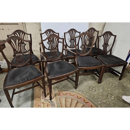 16 - Set of 8 Hepplewhite design Mahogany Dining Chairs (6 + 2 carvers), with removeable horse-hair cover... 