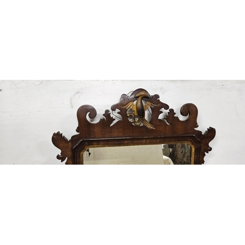 152 - Early 20thC Regency Style Mahogany Framed Wall Mirror, a gilded hoho bird pediment over a bevelled g... 