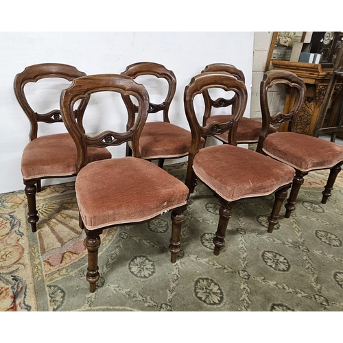 23 - Set of 6 Victorian Mahogany Balloon Back Dining Chairs, mauve covered sprung seats, on turned front ... 