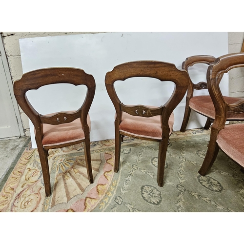 23 - Set of 6 Victorian Mahogany Balloon Back Dining Chairs, mauve covered sprung seats, on turned front ... 