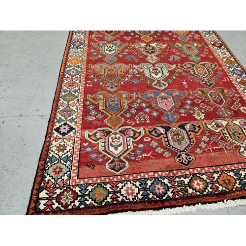 240 - Full pile red ground Persian Kaskai Tribal Rug, unique design with a multi coloured field of red, or... 