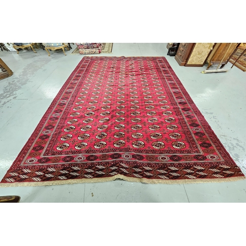 247 - Very fine handwoven rich red ground Turkman Carpet, with a traditional border design, full pile wool... 