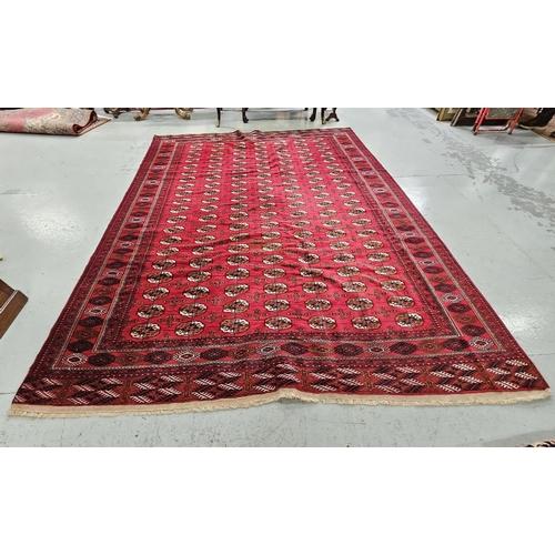 247 - Very fine handwoven rich red ground Turkman Carpet, with a traditional border design, full pile wool... 