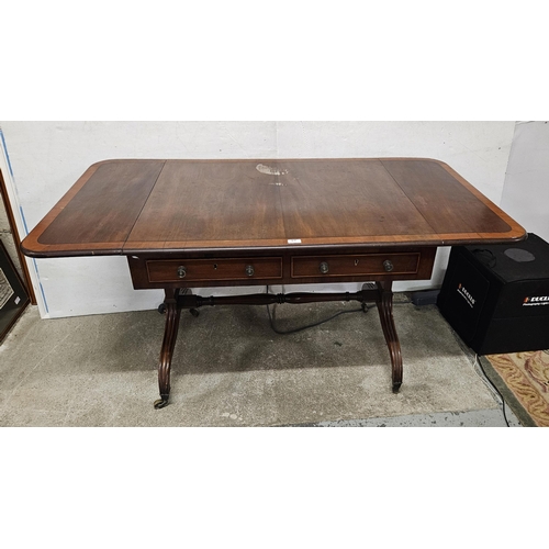 Lot 37        