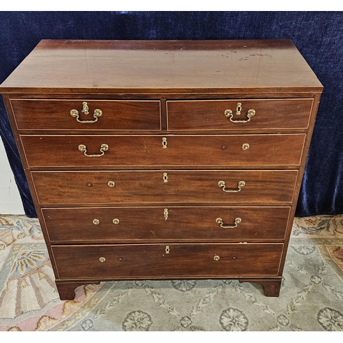 Lot 38        