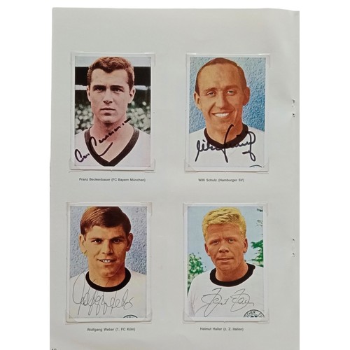 Lot 82        