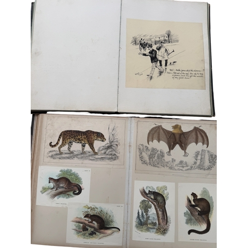 5049 - EARLY 1900s ALBUMS, FILLED WITH BOTH NEWSPAPER SUPPLEMENTS AND DRAWINGS, ACROSS 2 VINTAGE ALBUMS, SE... 