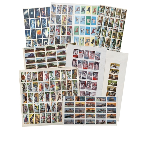 5053 - COLLECTION OF CIGARETTE/ TRADE CARDS UNCUT PROOF SHEETS, 9 TOTAL, ANIMALS, JOCKEYS, DOGS, TRAINS.
